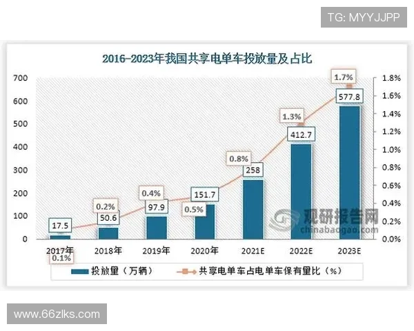 2025年白菜产地最新价格行情分析与趋势预测